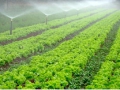 agricultura